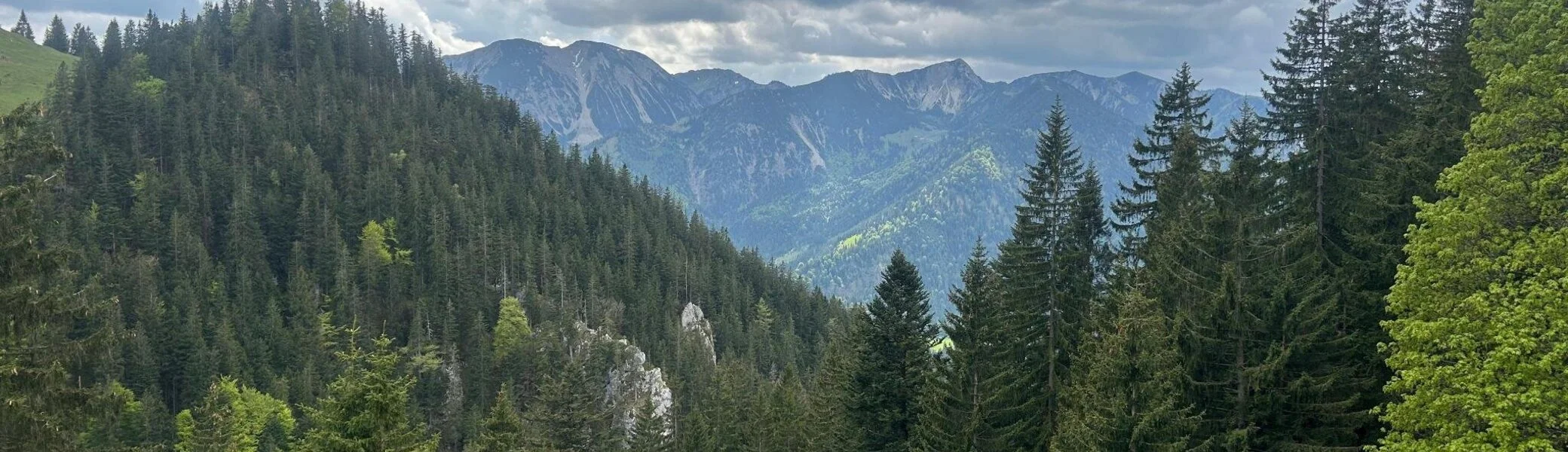 © Constanze Schmitt 