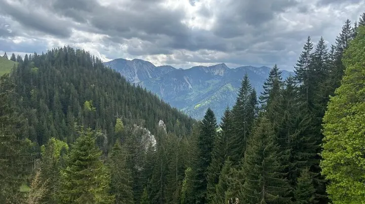 © Constanze Schmitt 