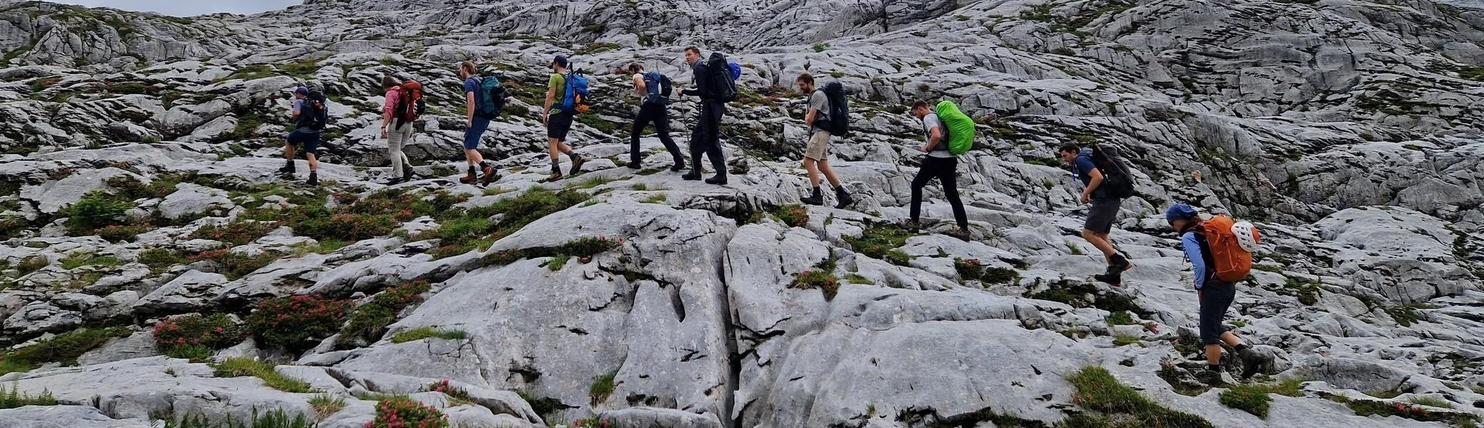 © Dominik Gelsheimer 