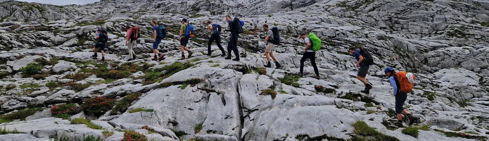 © Dominik Gelsheimer 