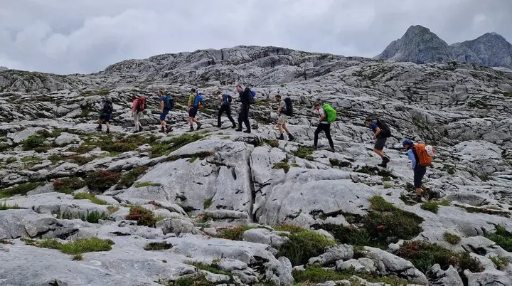 © Dominik Gelsheimer 