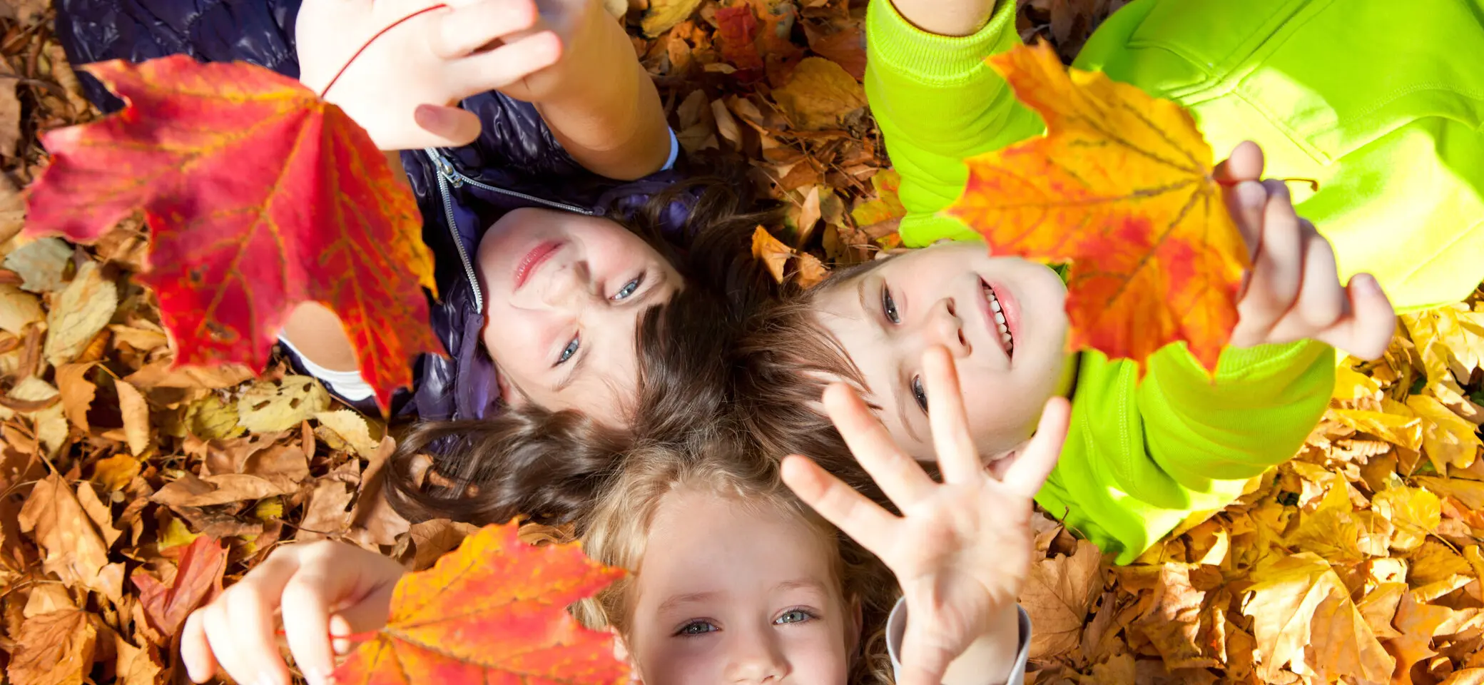 Kinder spielen mit bunten Hrbstblättern | © Drubig Photo / Adobe Stock